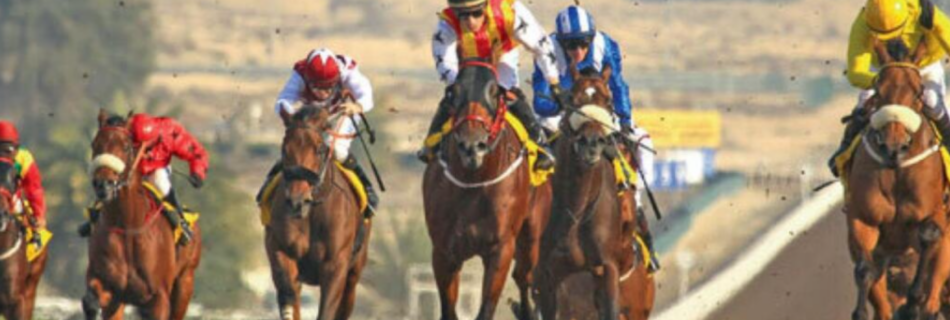 Horse Racing in India: A legal primer