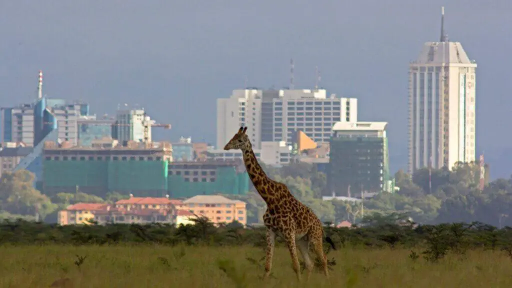 IAFL Annual General Meeting, Nairobi, Kenya, 3 – 7 September 2025